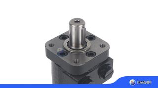 BMPH-50-H4-RS 25 foto