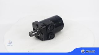 BMPH-50-H5-S-油口 寒九25 foto